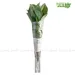 https://www.lottemart.vn/media/catalog/product/cache/75x75/0/4/0400229390003-1.jpg.webp