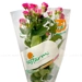 https://www.lottemart.vn/media/catalog/product/cache/75x75/8/9/8935077337167-1.jpg.webp