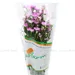 https://www.lottemart.vn/media/catalog/product/cache/75x75/8/9/8935077377347-1.jpg.webp