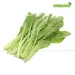 https://www.lottemart.vn/media/catalog/product/cache/75x75/8/9/8936200651136-1.jpg.webp